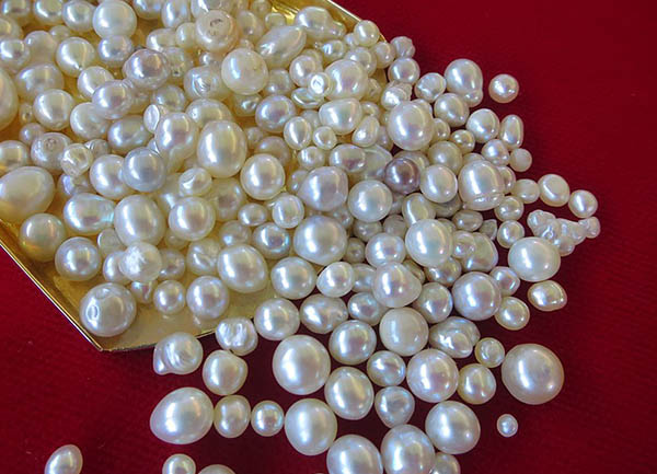 Bahrain Gem Lab and MIT to Explore New Methods of Classifying Natural  Pearls